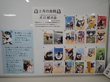 P2070001.JPG